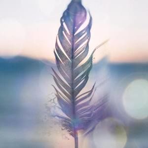 Meet your Posher, Kilie